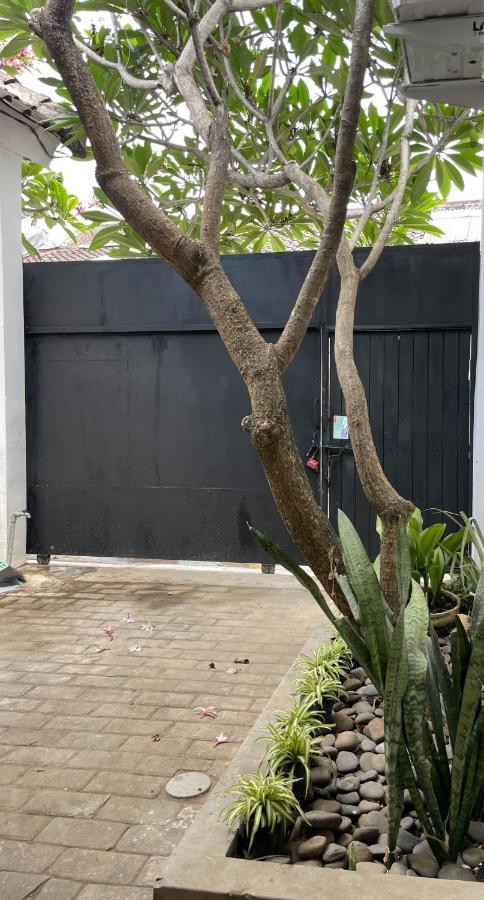 קנגו Chic And Cozy Studio מראה חיצוני תמונה