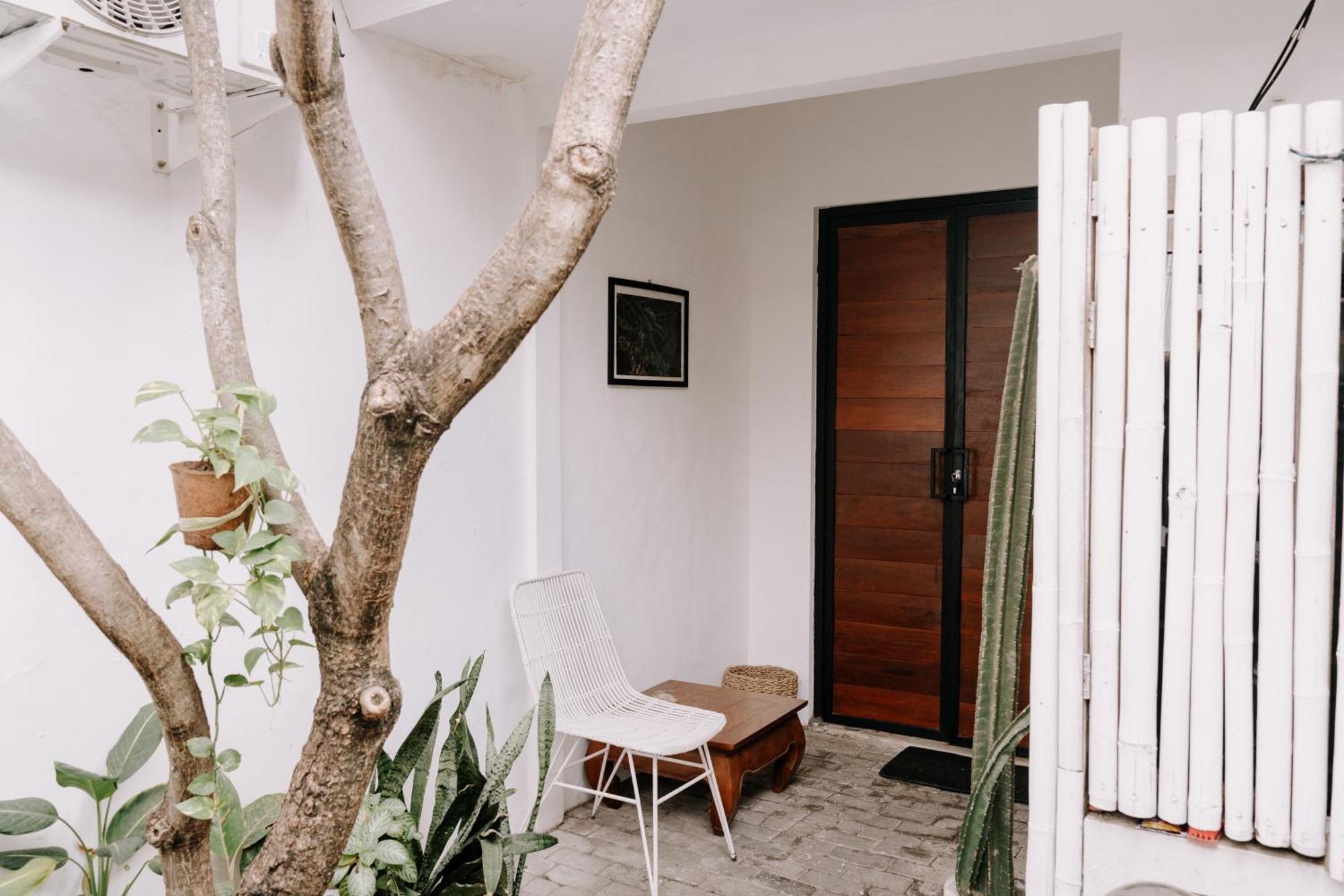 קנגו Chic And Cozy Studio מראה חיצוני תמונה